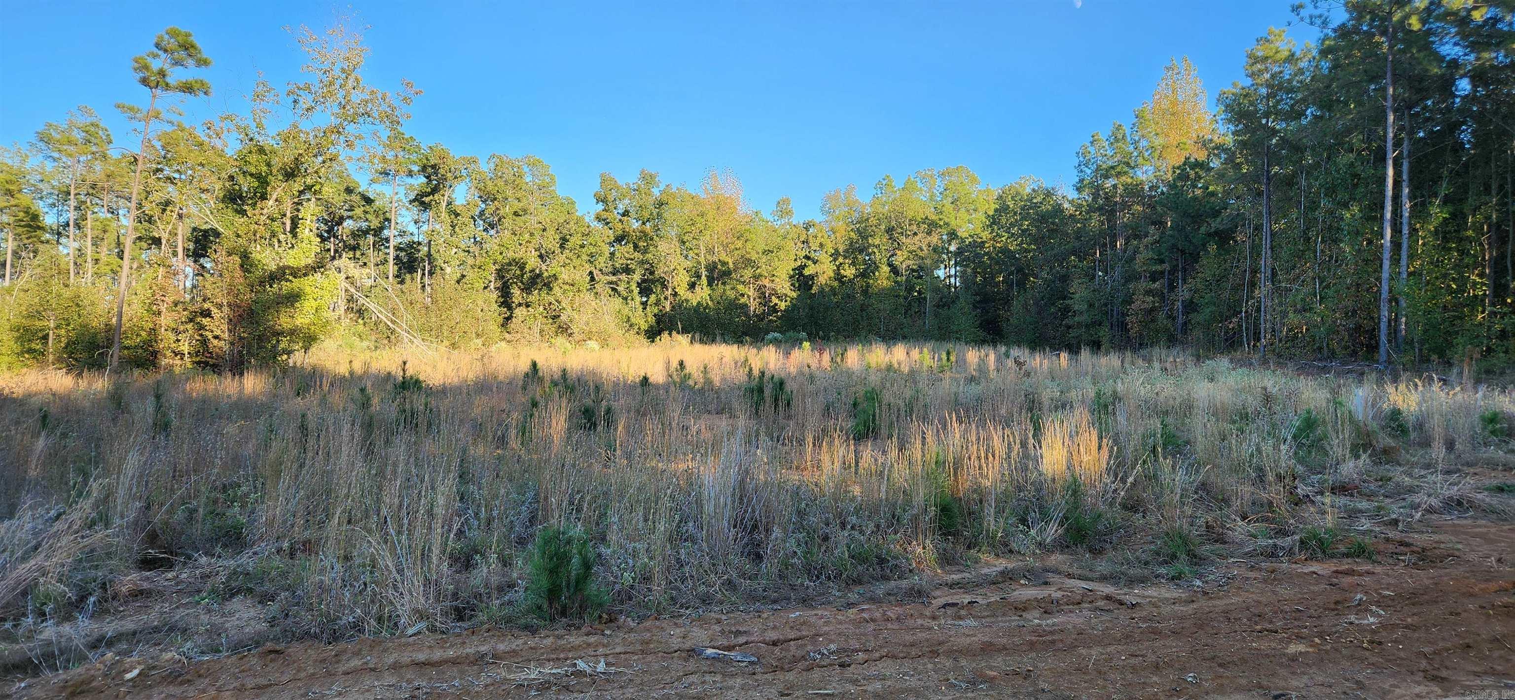 000 Camille Drive Property Photo 3