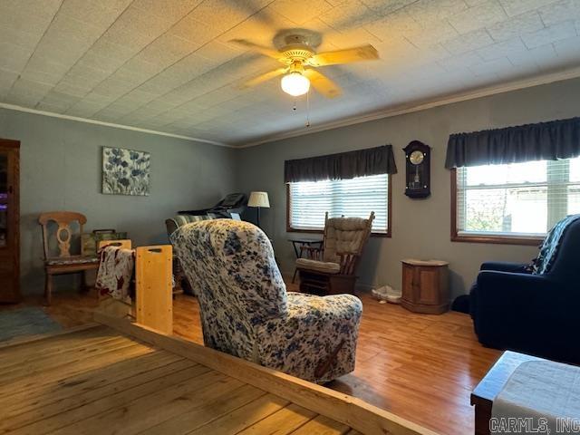 8673 Highway 251 Property Photo 2