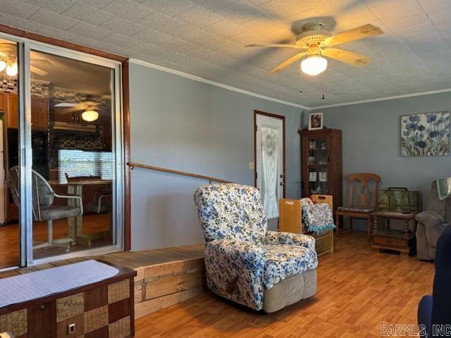 8673 Highway 251 Property Photo 4