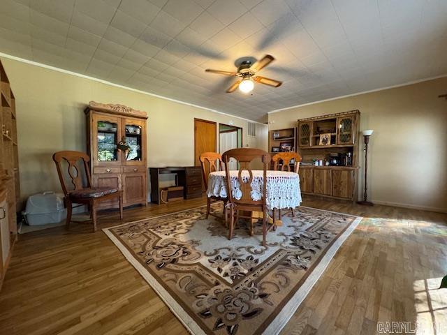 8673 Highway 251 Property Photo 12