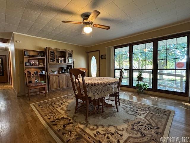 8673 Highway 251 Property Photo 14