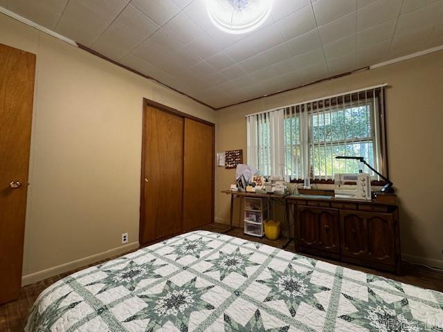 8673 Highway 251 Property Photo 22