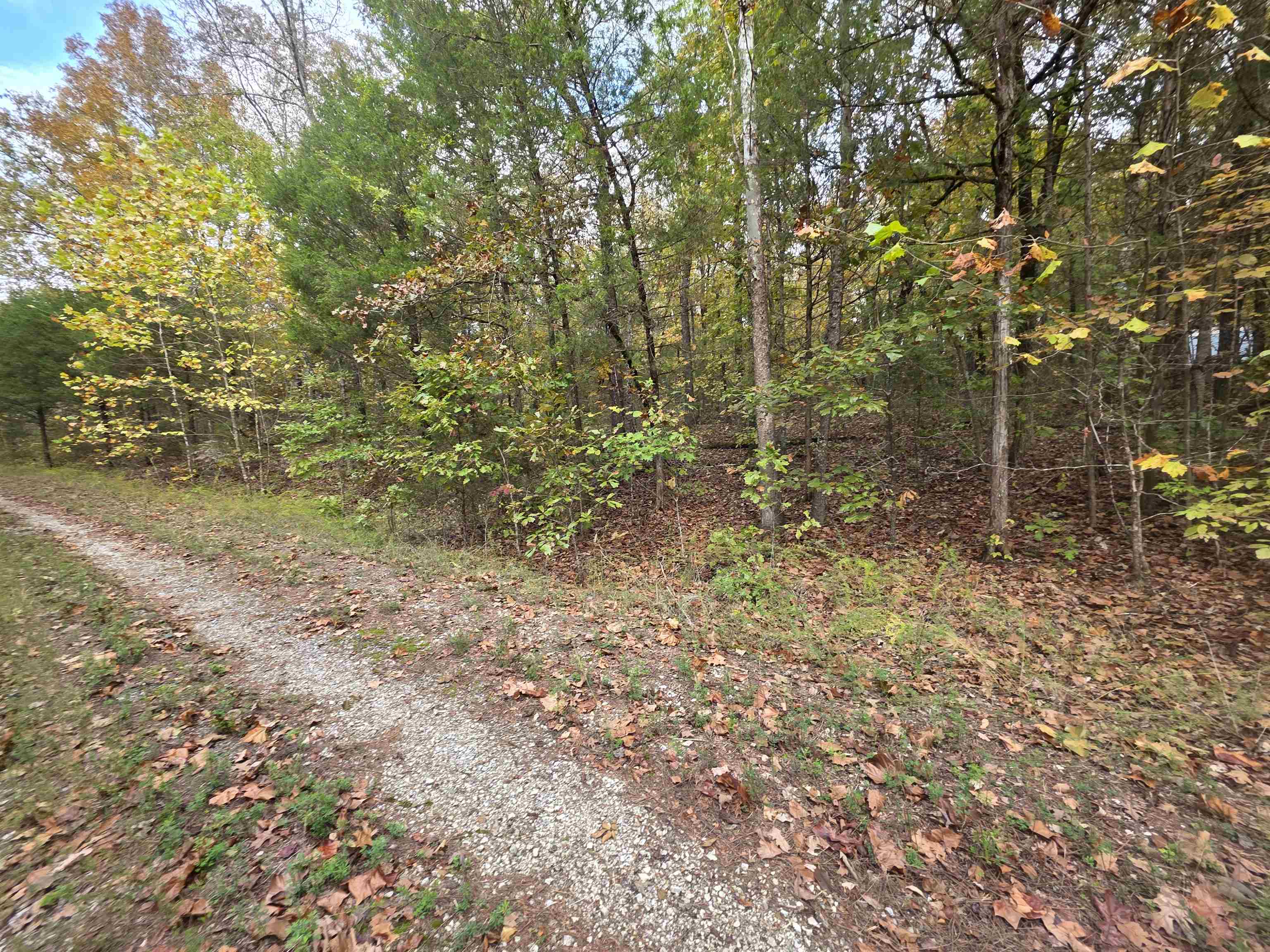 L-5,6 B- 3 Apoxsee Drive Property Photo 6