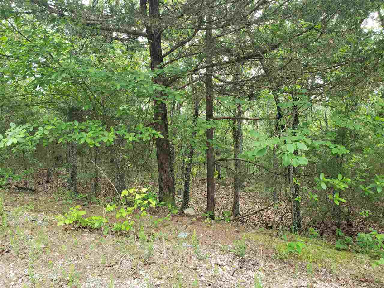 L-8 B-11 Micco Drive Property Photo 1