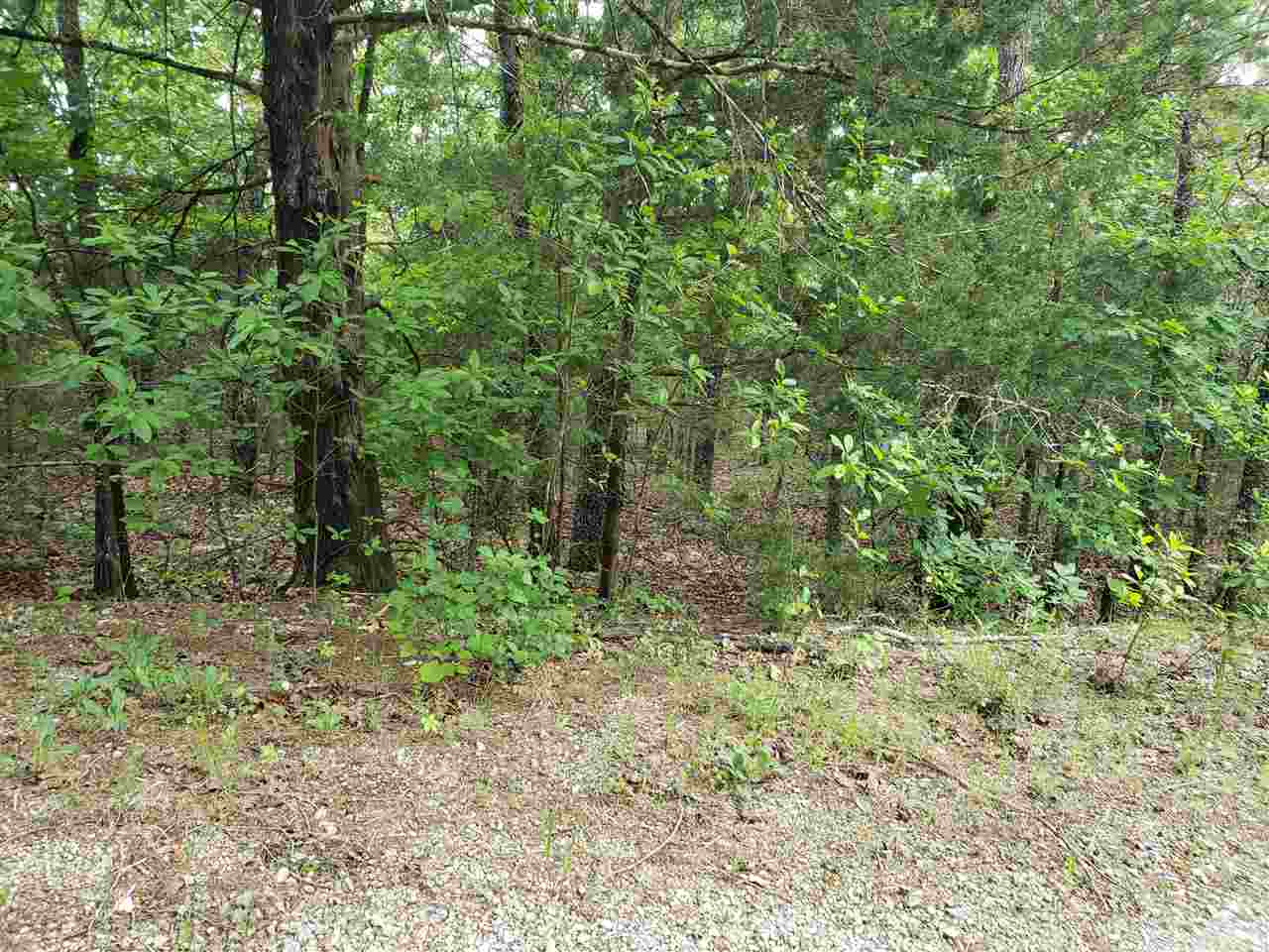 L-8 B-11 Micco Drive Property Photo 4