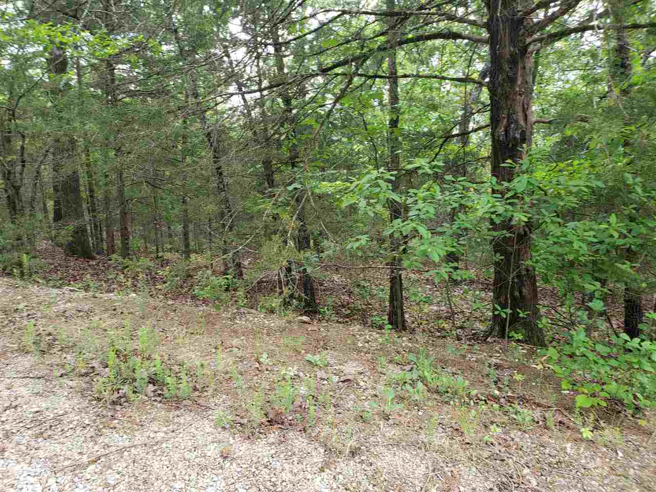 L-8 B-11 Micco Drive Property Photo 5