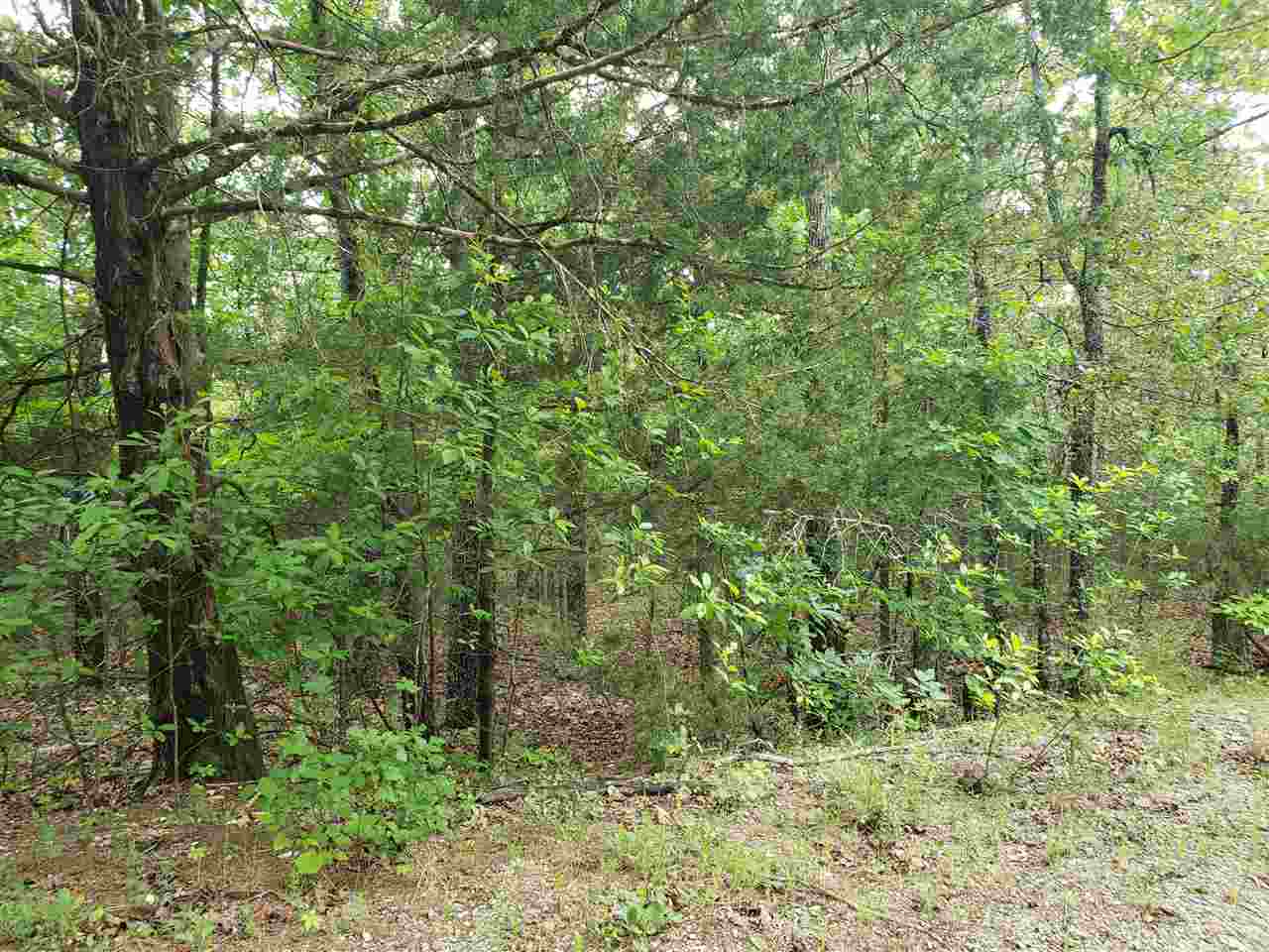 L-8 B-11 Micco Drive Property Photo 6