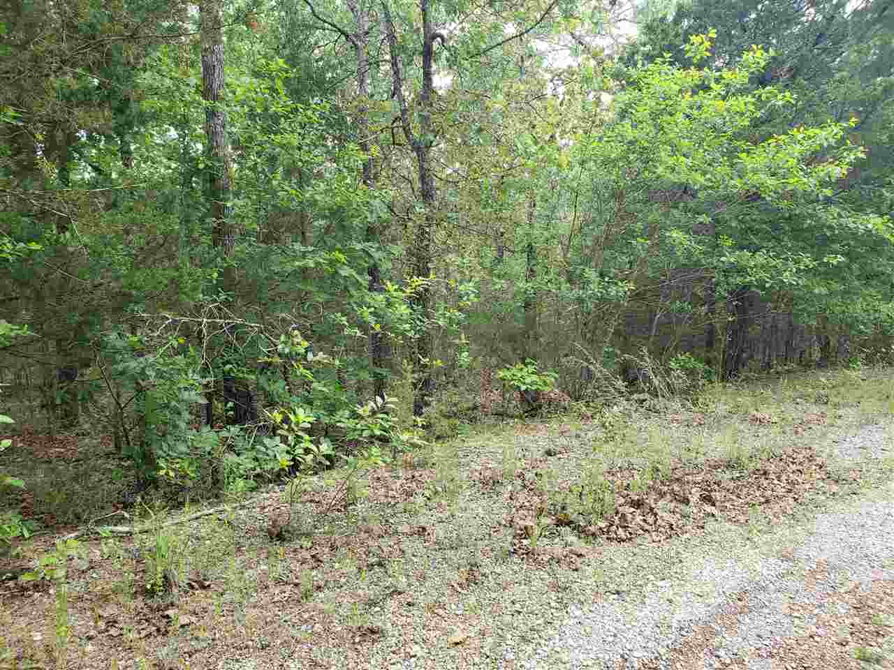 L-8 B-11 Micco Drive Property Photo 7