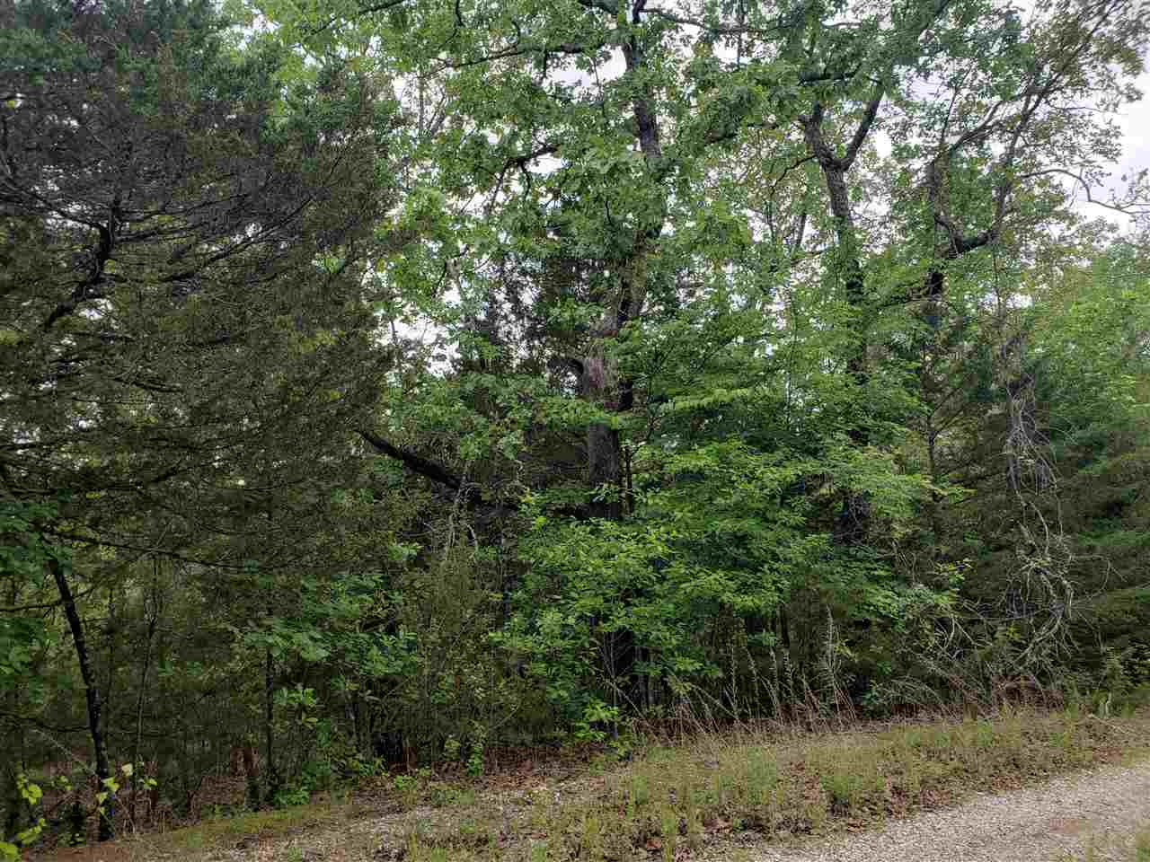L-8 B-11 Micco Drive Property Photo 8