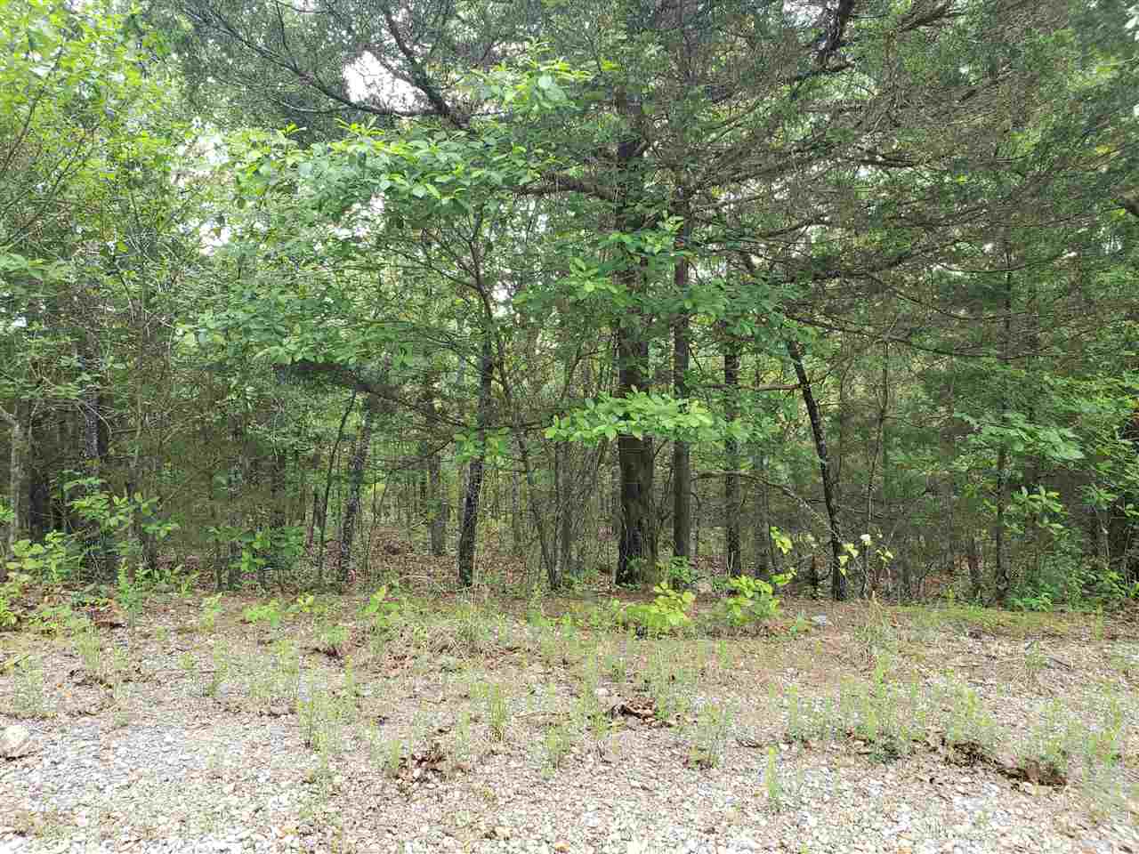 L-8 B-11 Micco Drive Property Photo 9