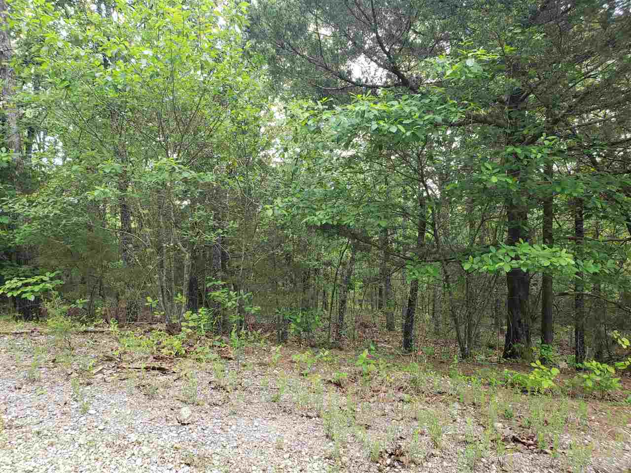 L-8 B-11 Micco Drive Property Photo 10