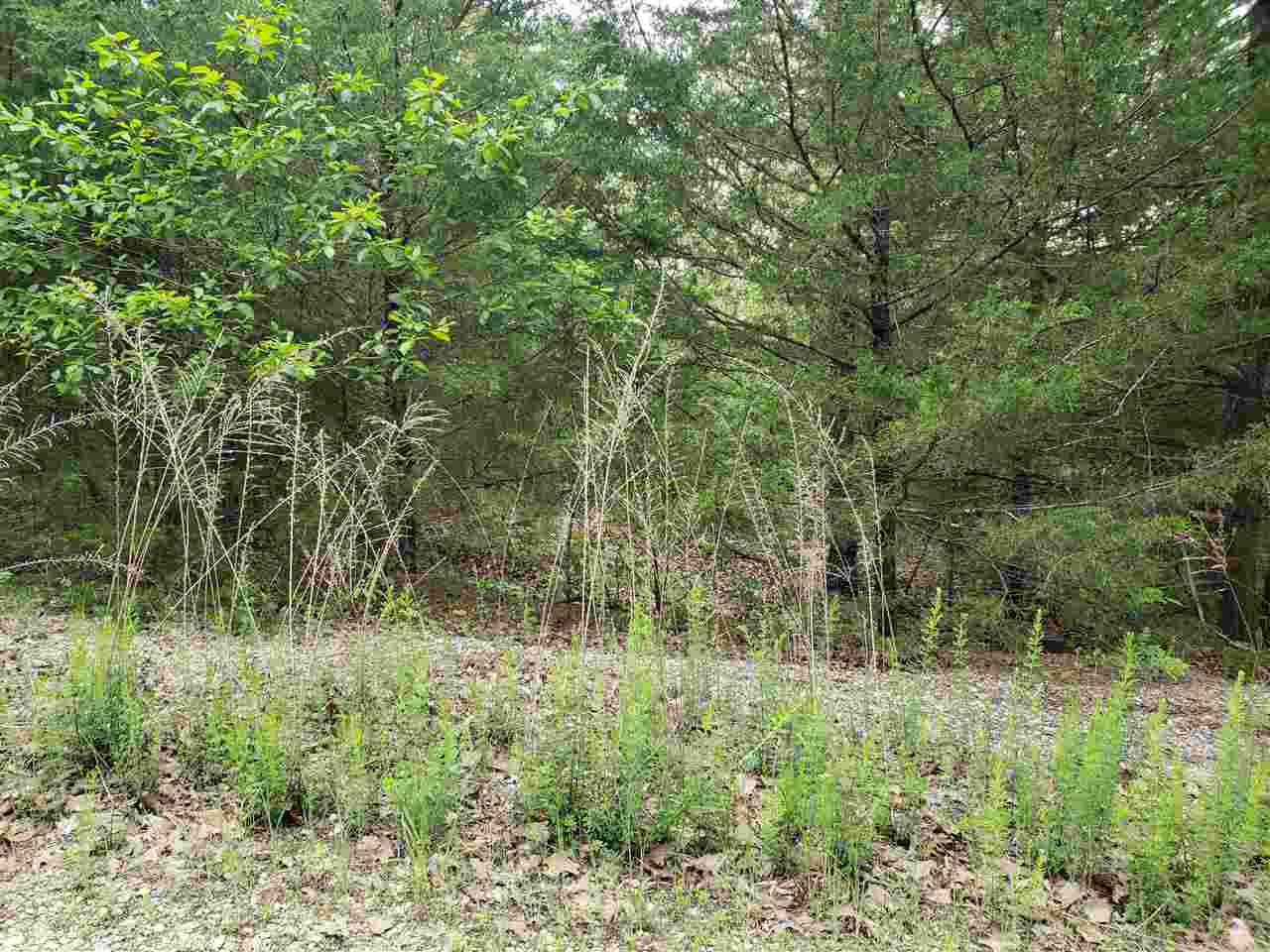 L-8 B-11 Micco Drive Property Photo 12