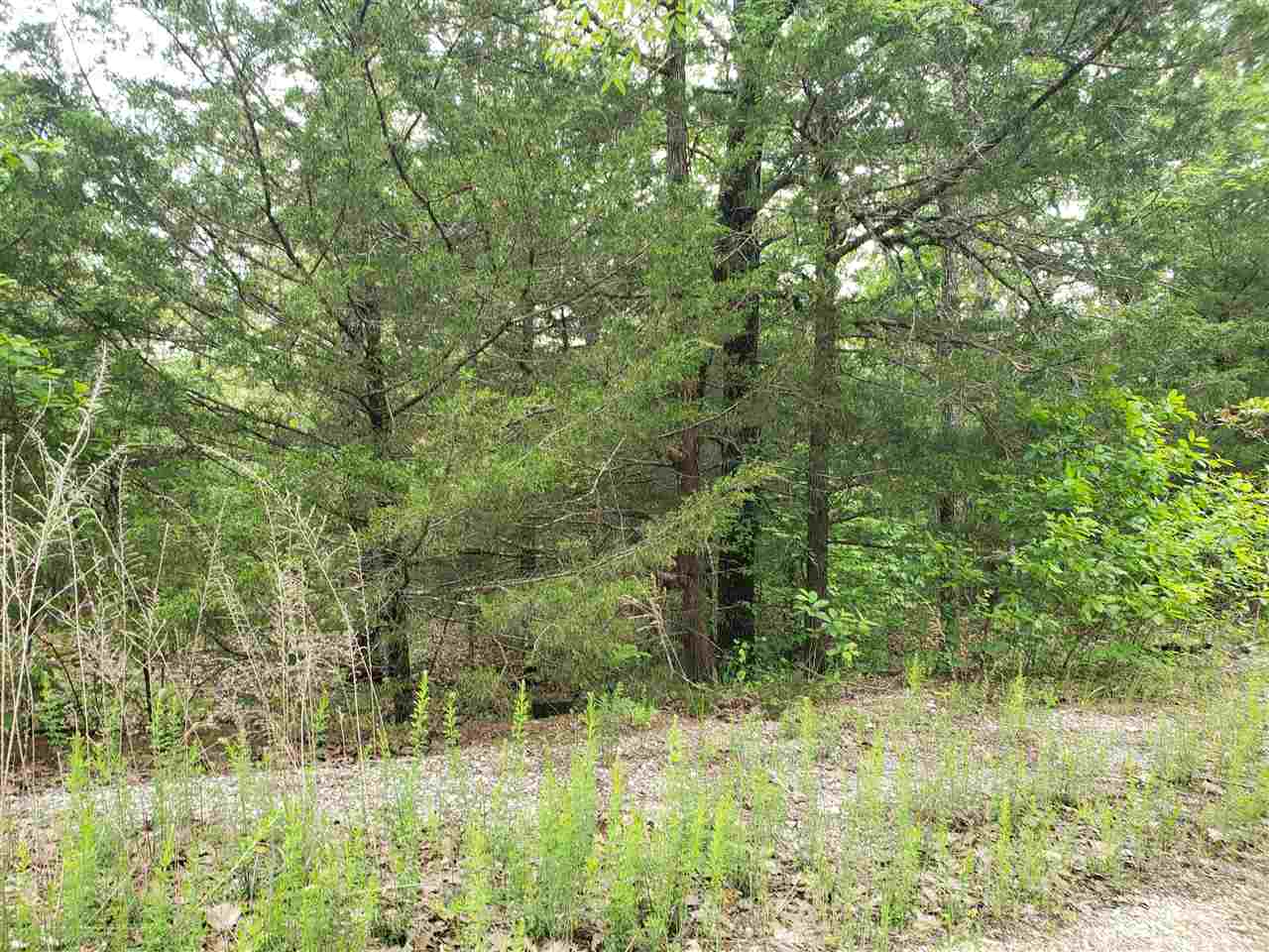 L-8 B-11 Micco Drive Property Photo 13
