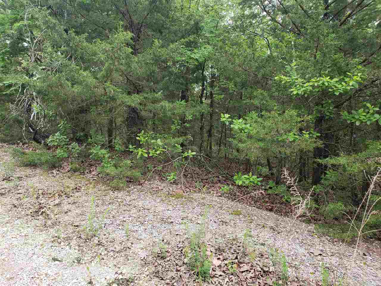 L-8 B-11 Micco Drive Property Photo 16