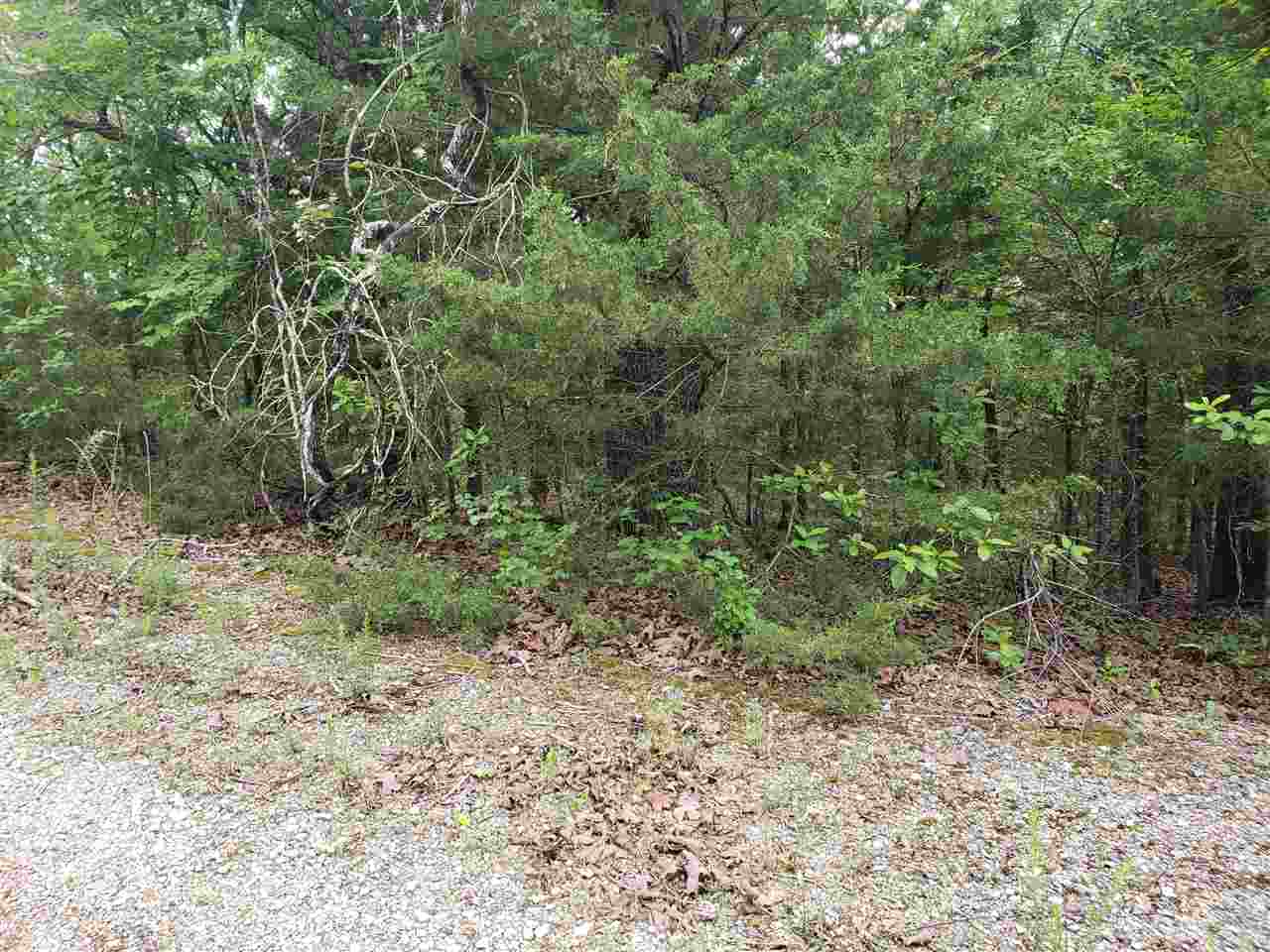 L-8 B-11 Micco Drive Property Photo 18