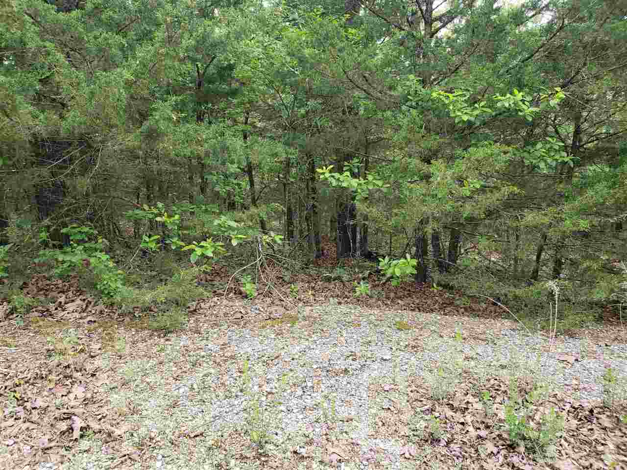 L-8 B-11 Micco Drive Property Photo 19