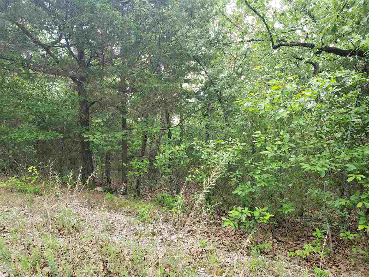 L-8 B-11 Micco Drive Property Photo 20