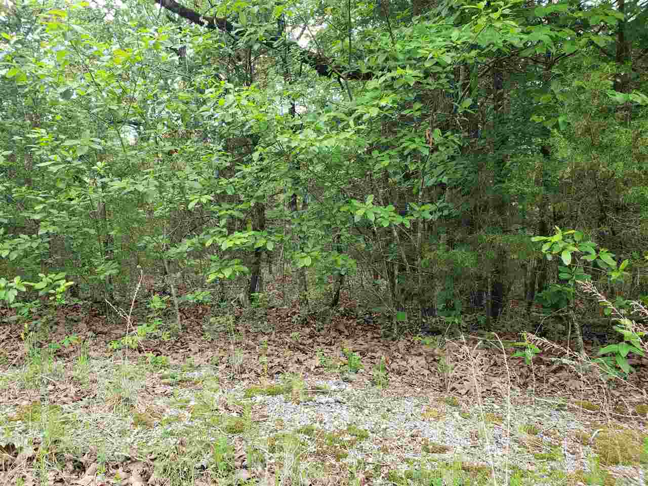 L-8 B-11 Micco Drive Property Photo 21
