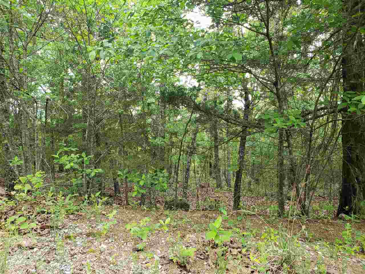L-8 B-11 Micco Drive Property Photo 22