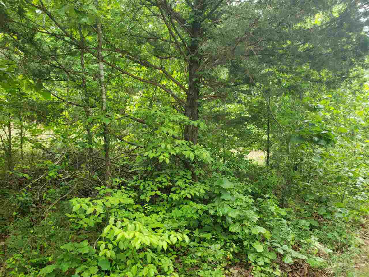 L-5 B-5 Flathead Drive Property Photo 1