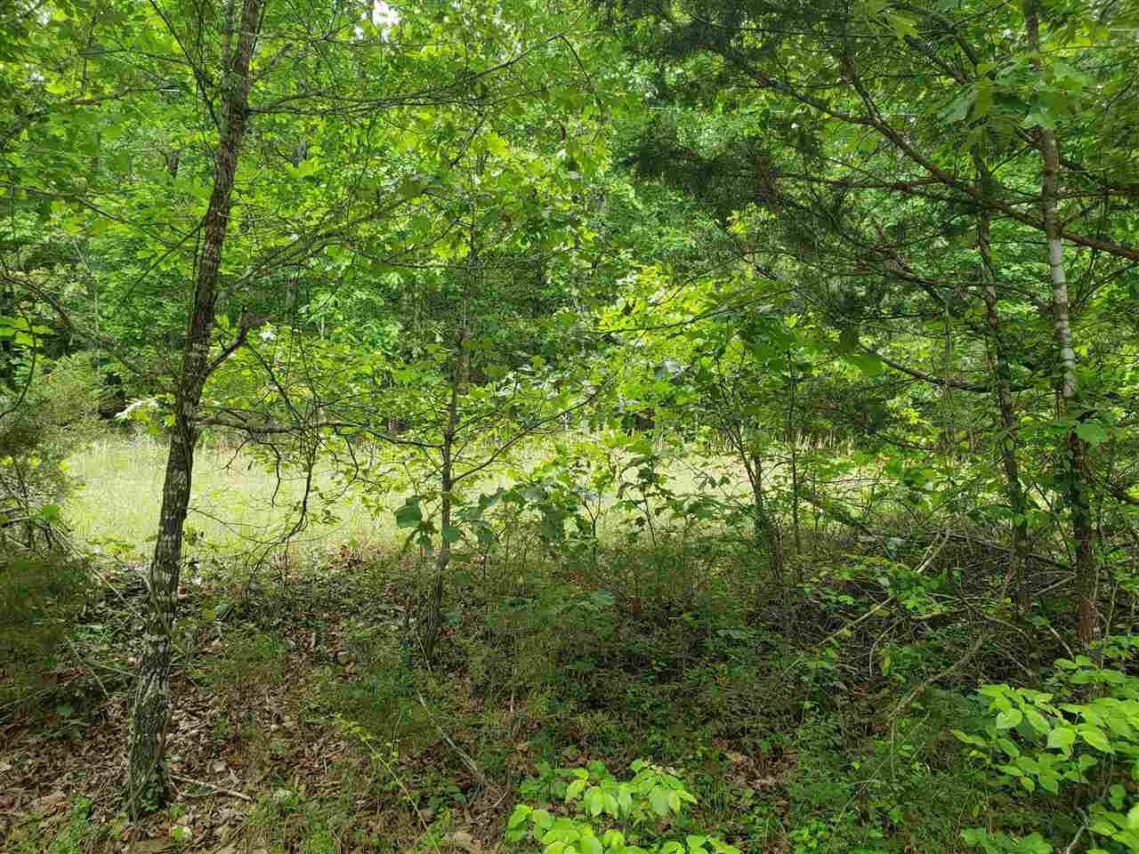L-5 B-5 Flathead Drive Property Photo 2