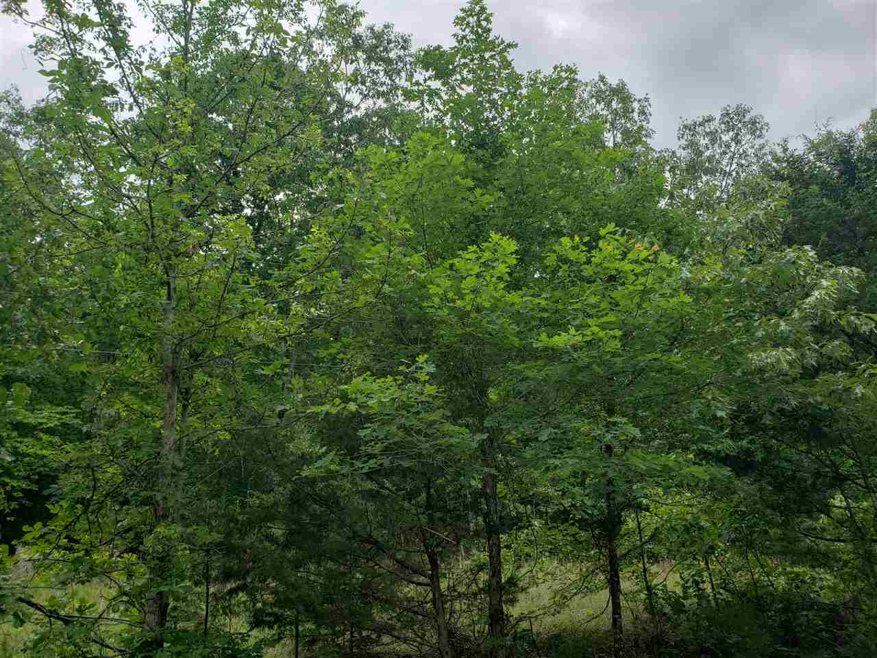 L-5 B-5 Flathead Drive Property Photo 3