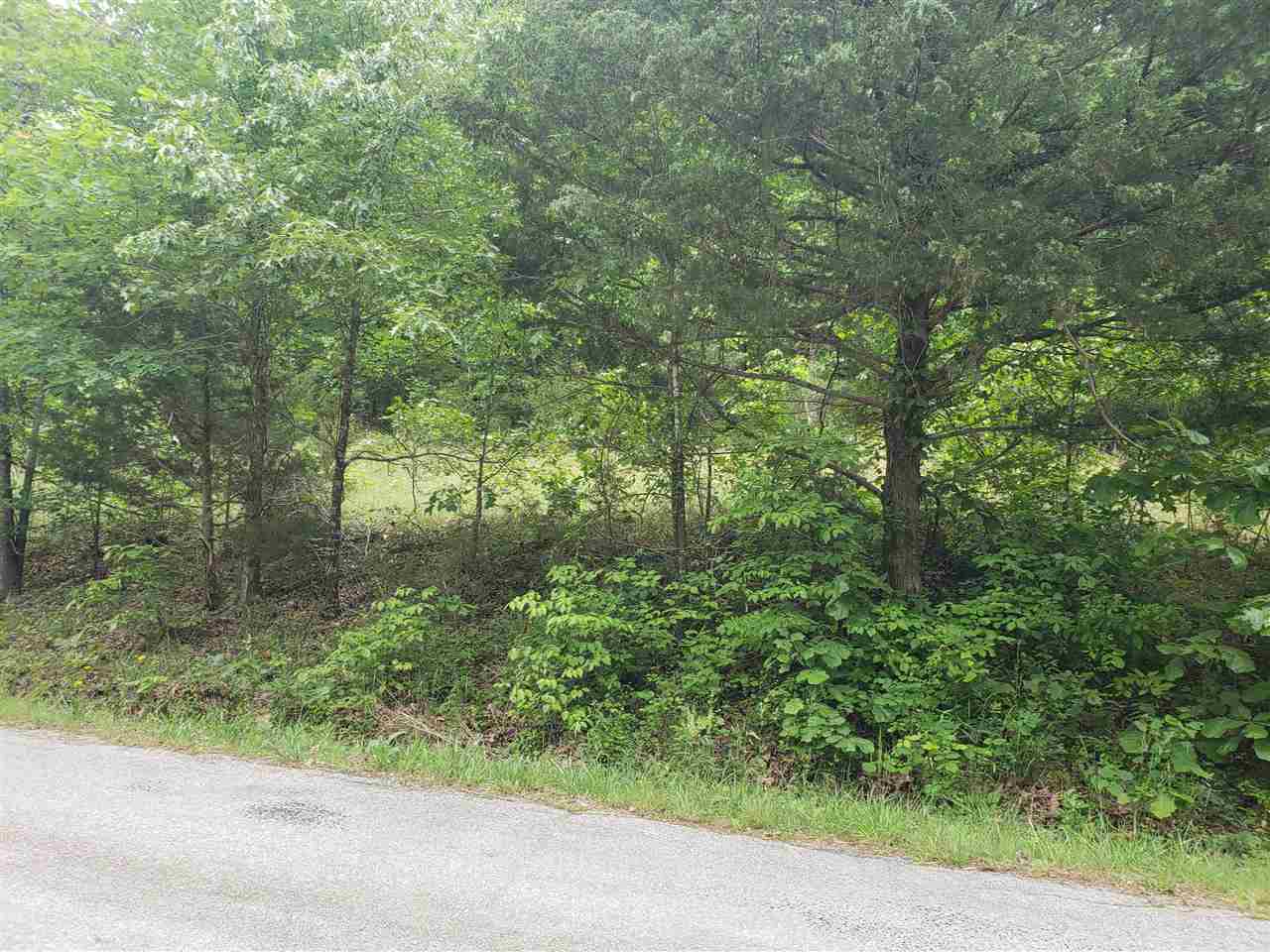L-5 B-5 Flathead Drive Property Photo 7
