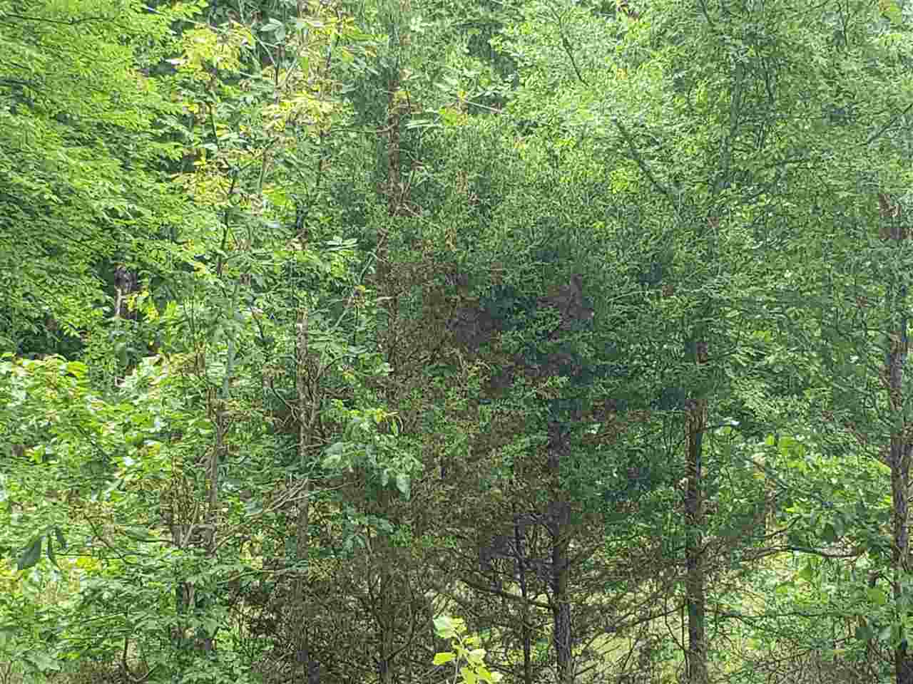 L-5 B-5 Flathead Drive Property Photo 8