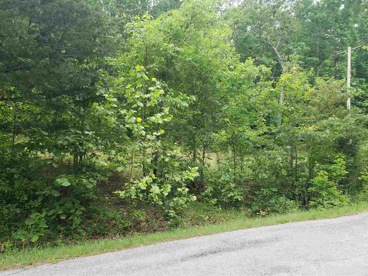L-5 B-5 Flathead Drive Property Photo 10