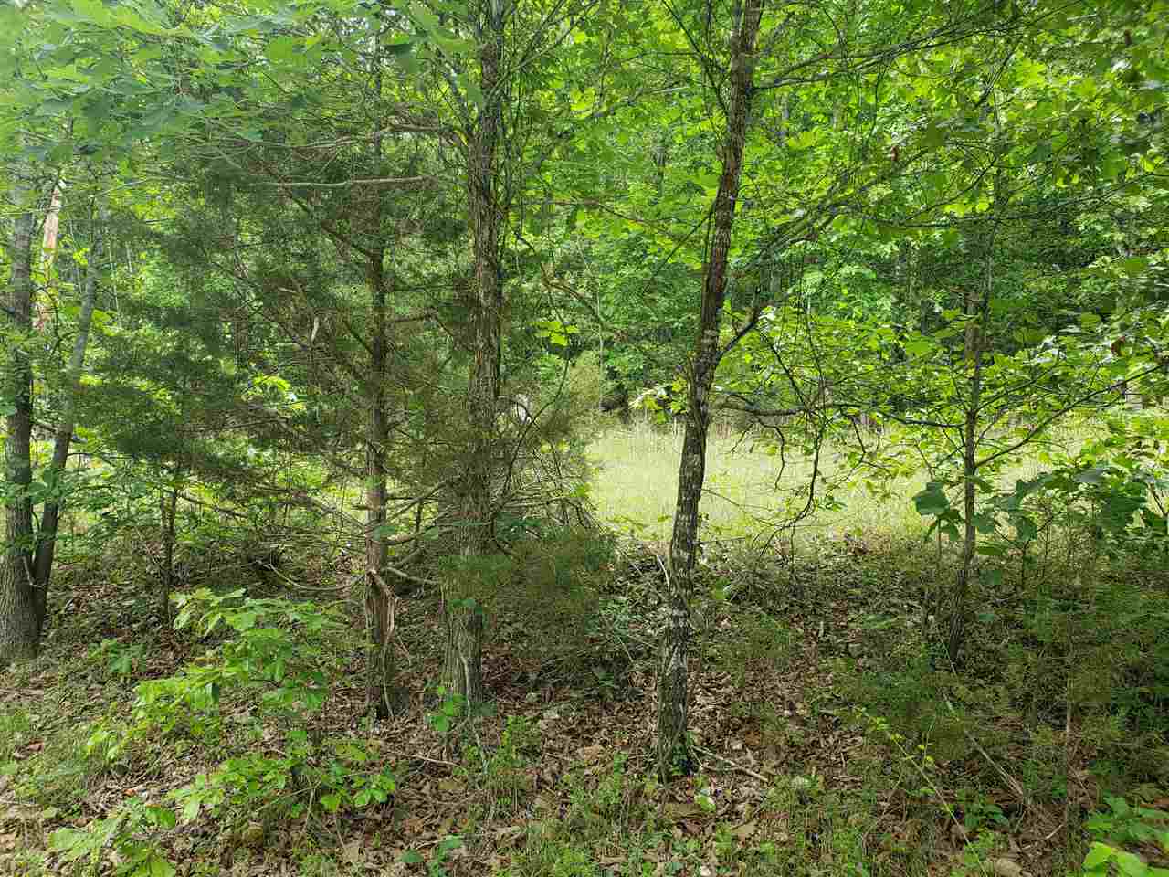 L-5 B-5 Flathead Drive Property Photo 11