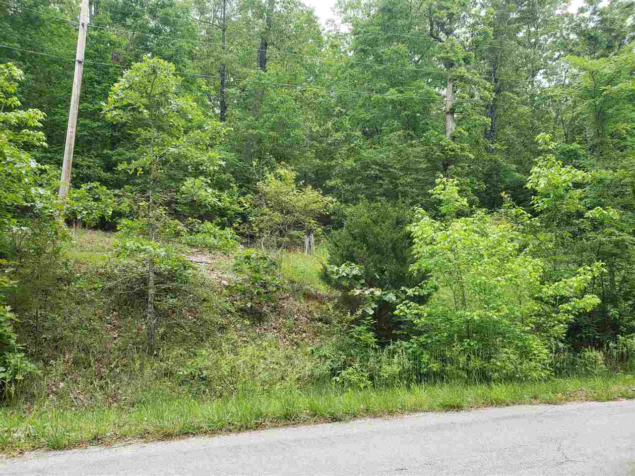 L-27 B-5 Flathead Drive Property Photo 5