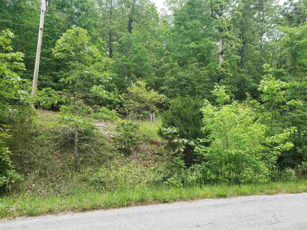 L-27 B-5 Flathead Drive Property Photo 6