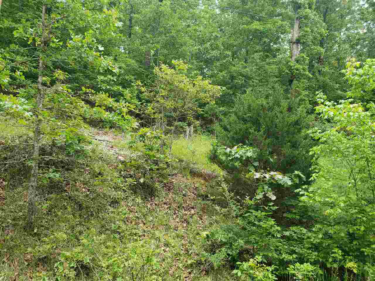 L-27 B-5 Flathead Drive Property Photo 8