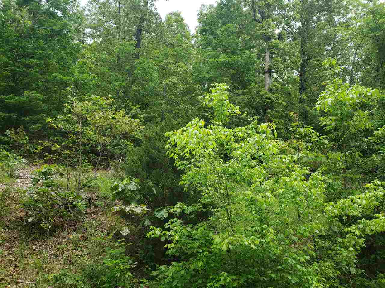 L-27 B-5 Flathead Drive Property Photo 10