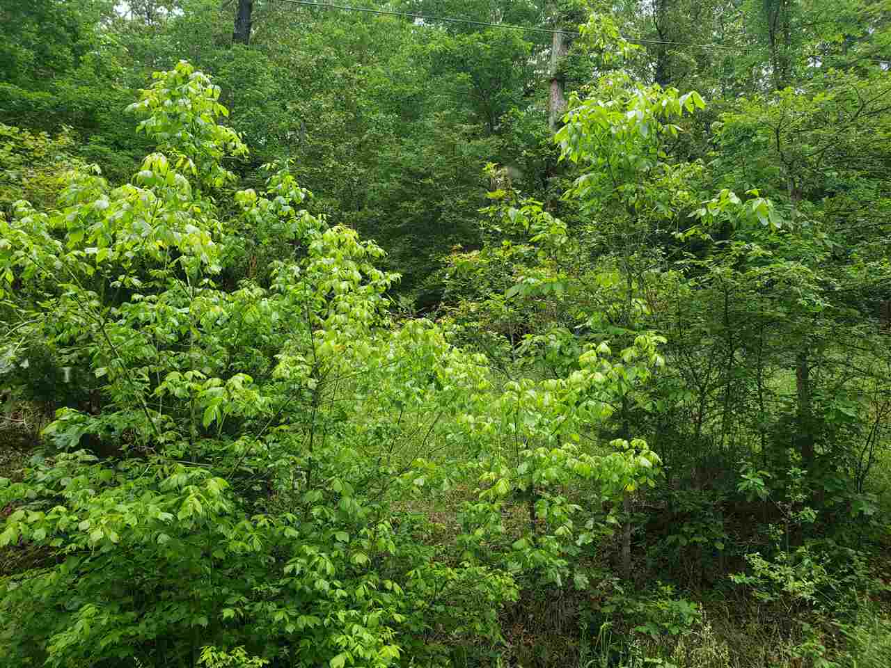 L-27 B-5 Flathead Drive Property Photo 11