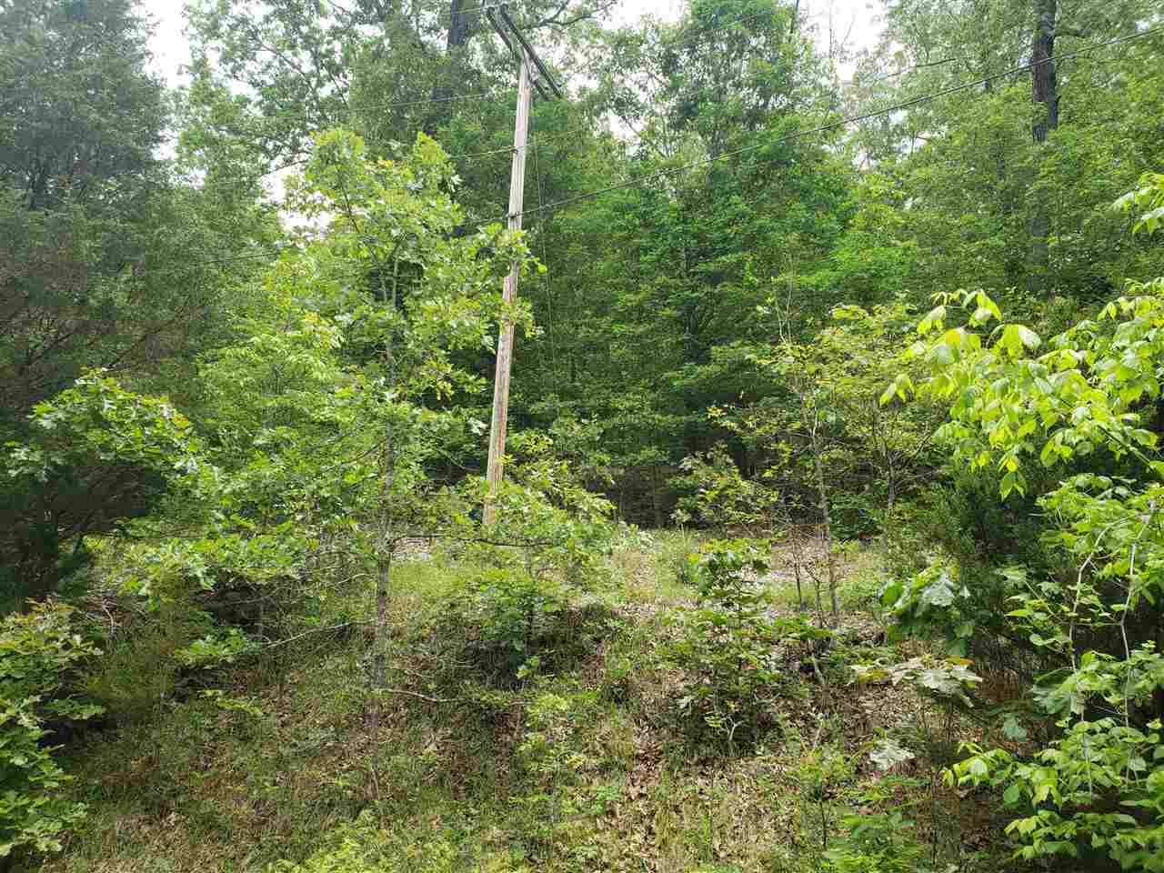 L-27 B-5 Flathead Drive Property Photo 12