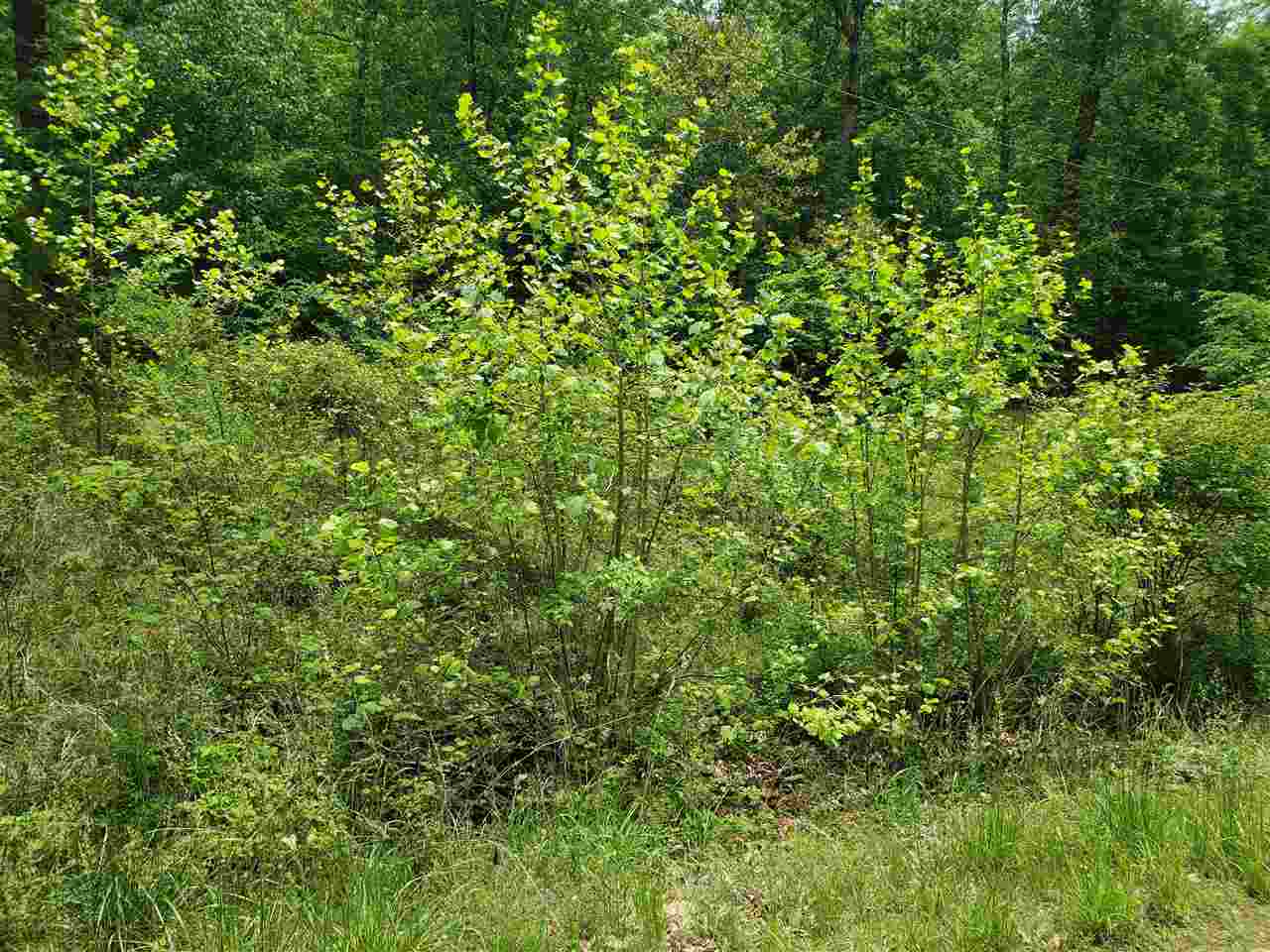 L-27 B-5 Flathead Drive Property Photo 15