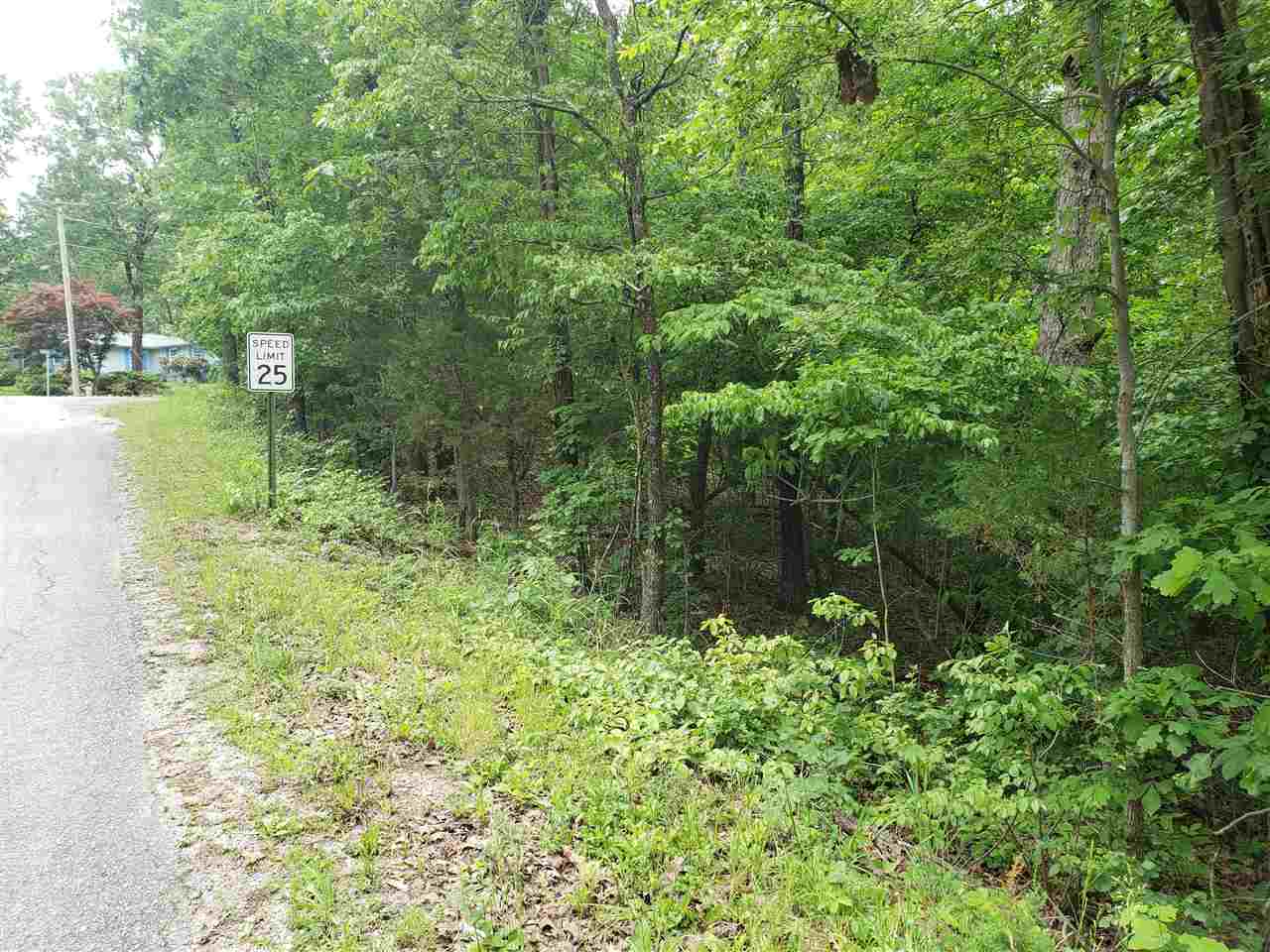 L-94 B5 Ouachita Road Property Photo 2