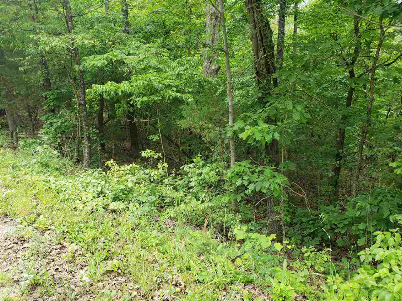 L-94 B5 Ouachita Road Property Photo 3