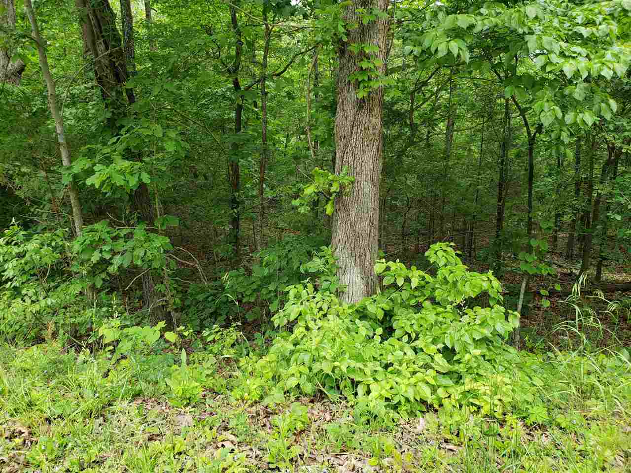 L-94 B5 Ouachita Road Property Photo 4