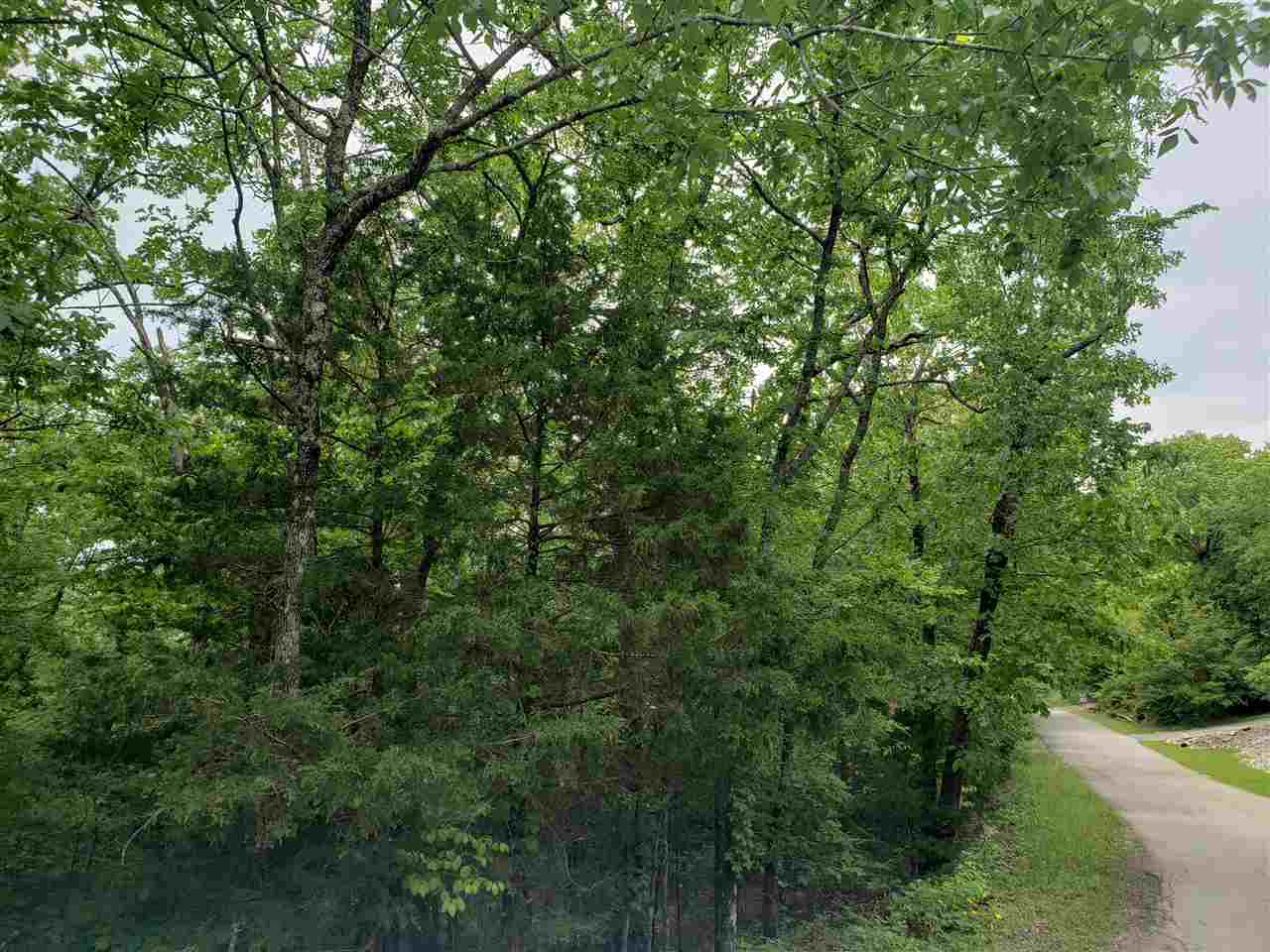 L-94 B5 Ouachita Road Property Photo 5