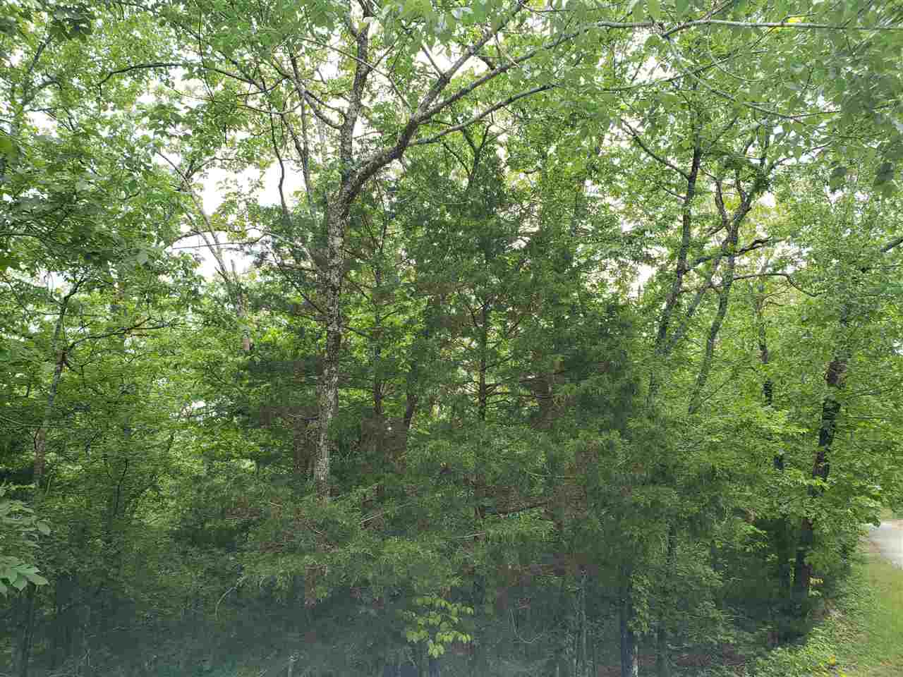 L-94 B5 Ouachita Road Property Photo 6