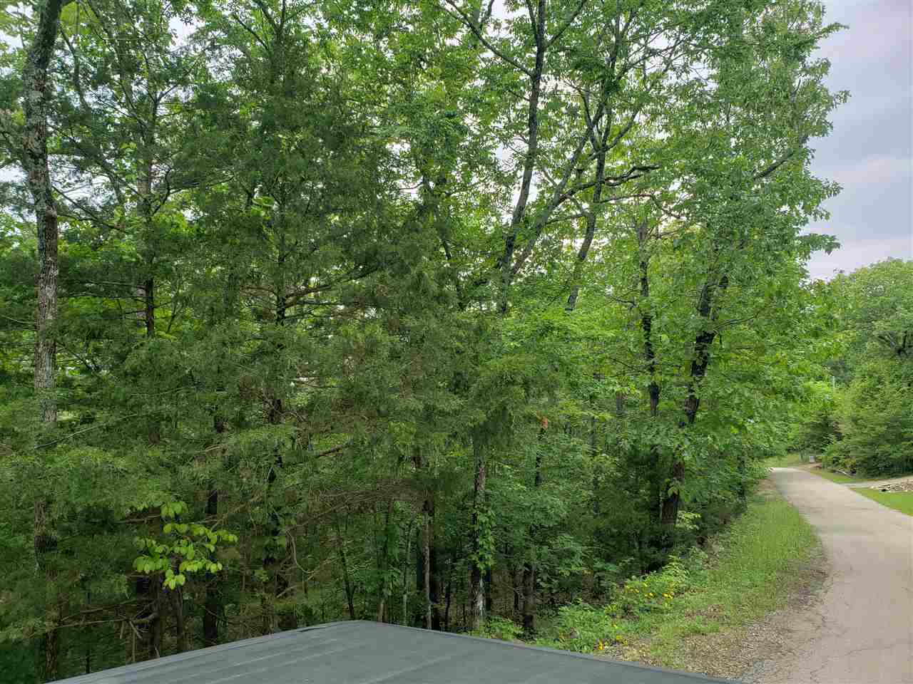 L-94 B5 Ouachita Road Property Photo 7