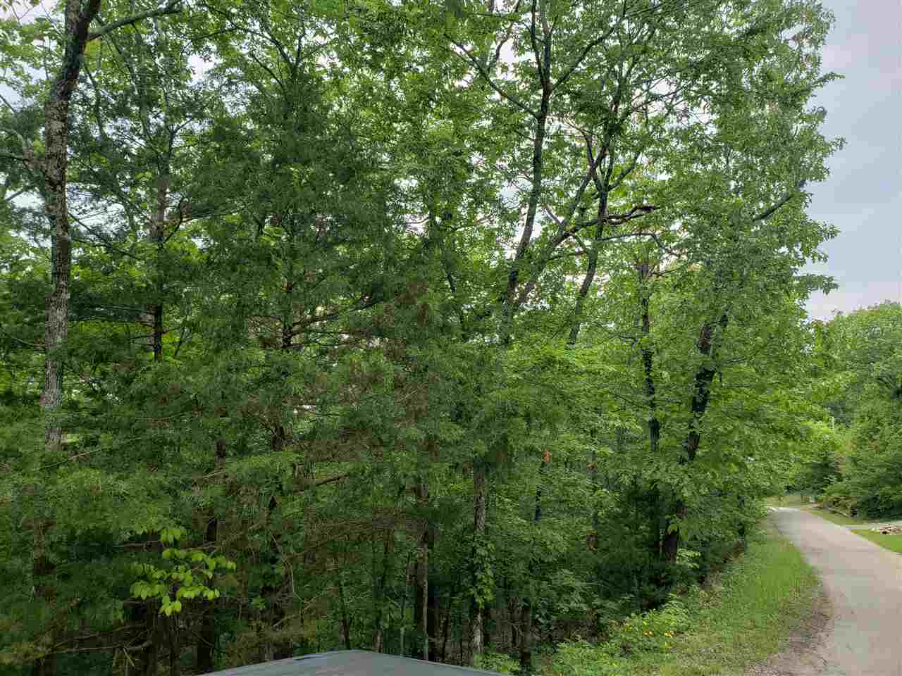 L-94 B5 Ouachita Road Property Photo 8