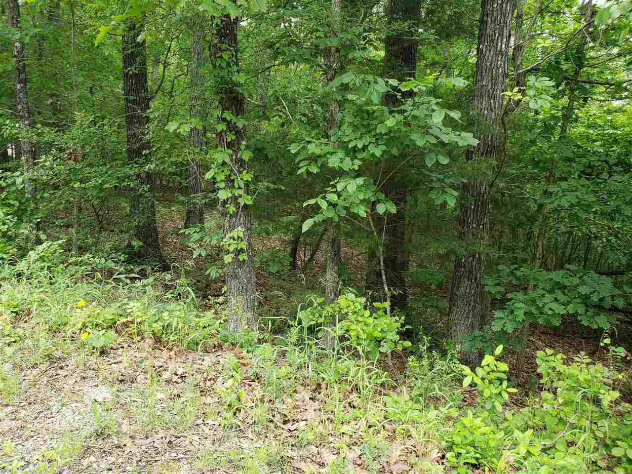 L-94 B5 Ouachita Road Property Photo 9