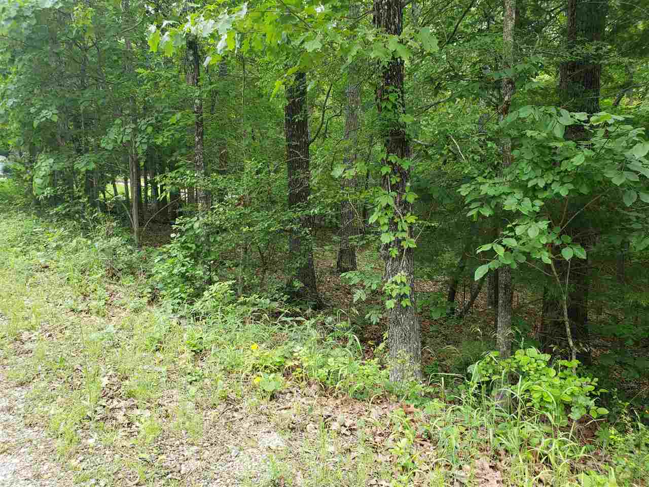 L-94 B5 Ouachita Road Property Photo 10