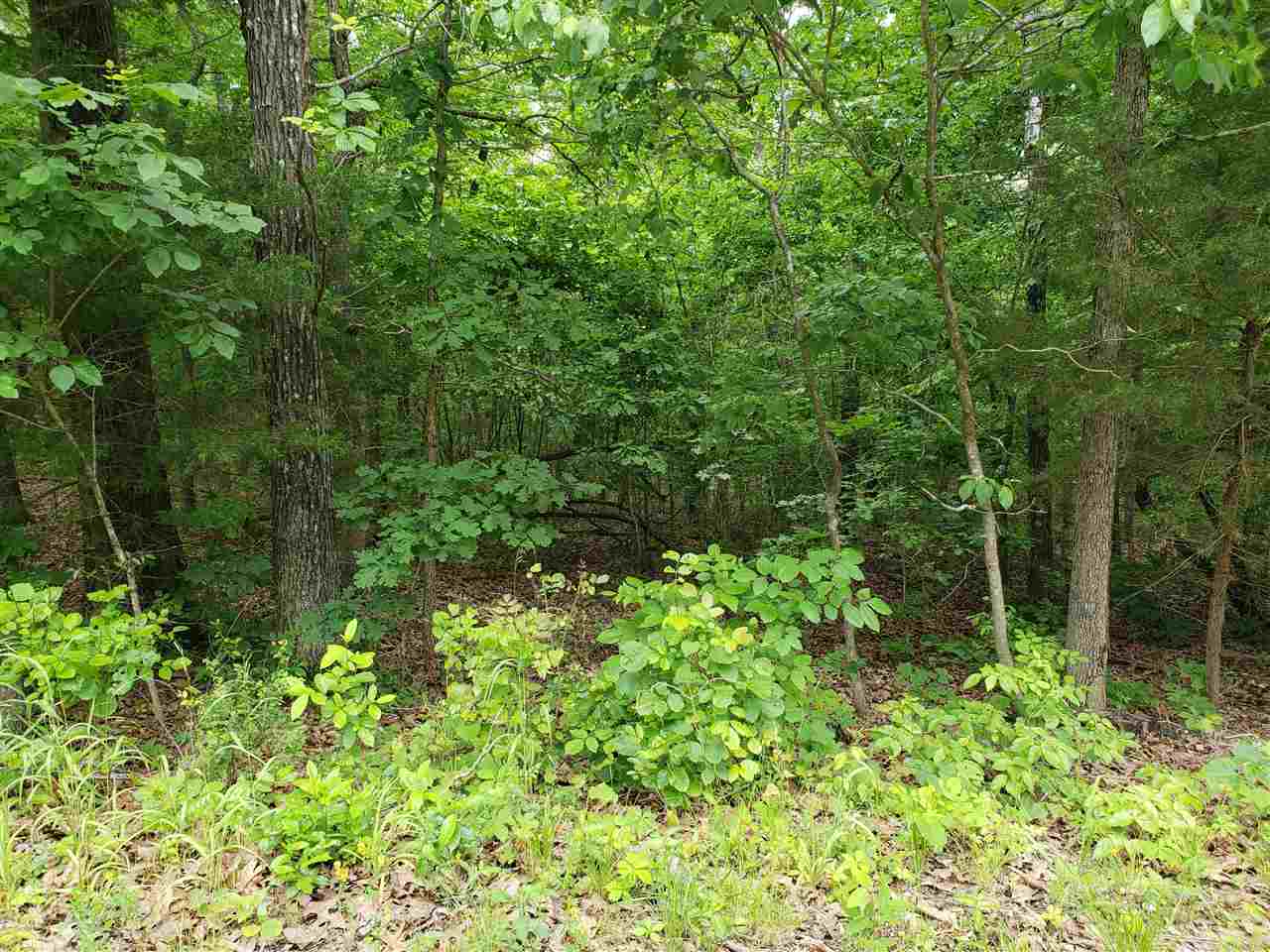 L-94 B5 Ouachita Road Property Photo 11