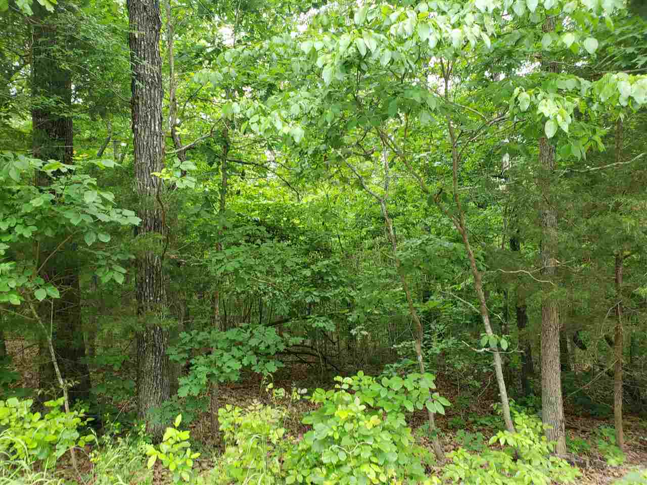 L-94 B5 Ouachita Road Property Photo 12