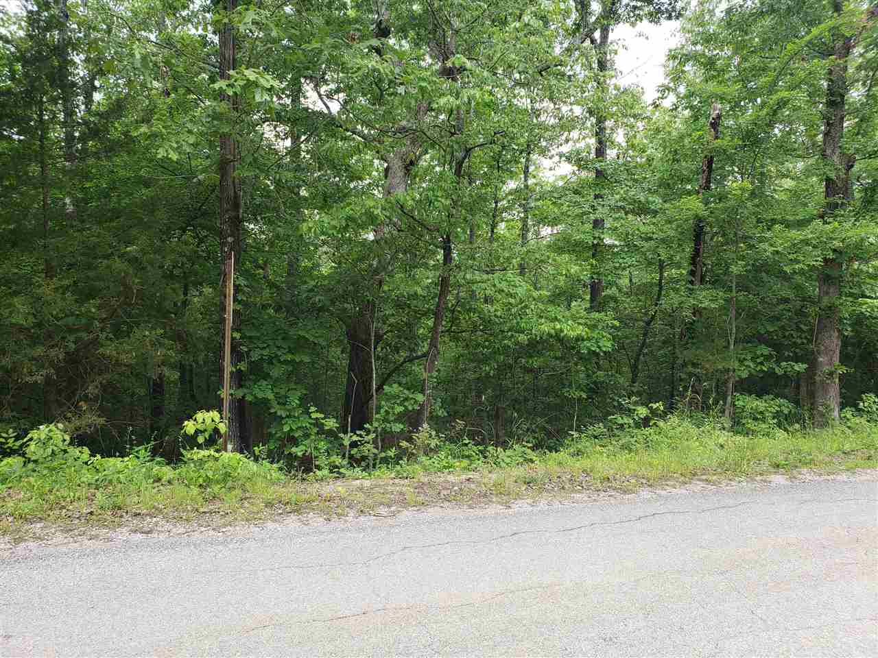 L-94 B5 Ouachita Road Property Photo 13