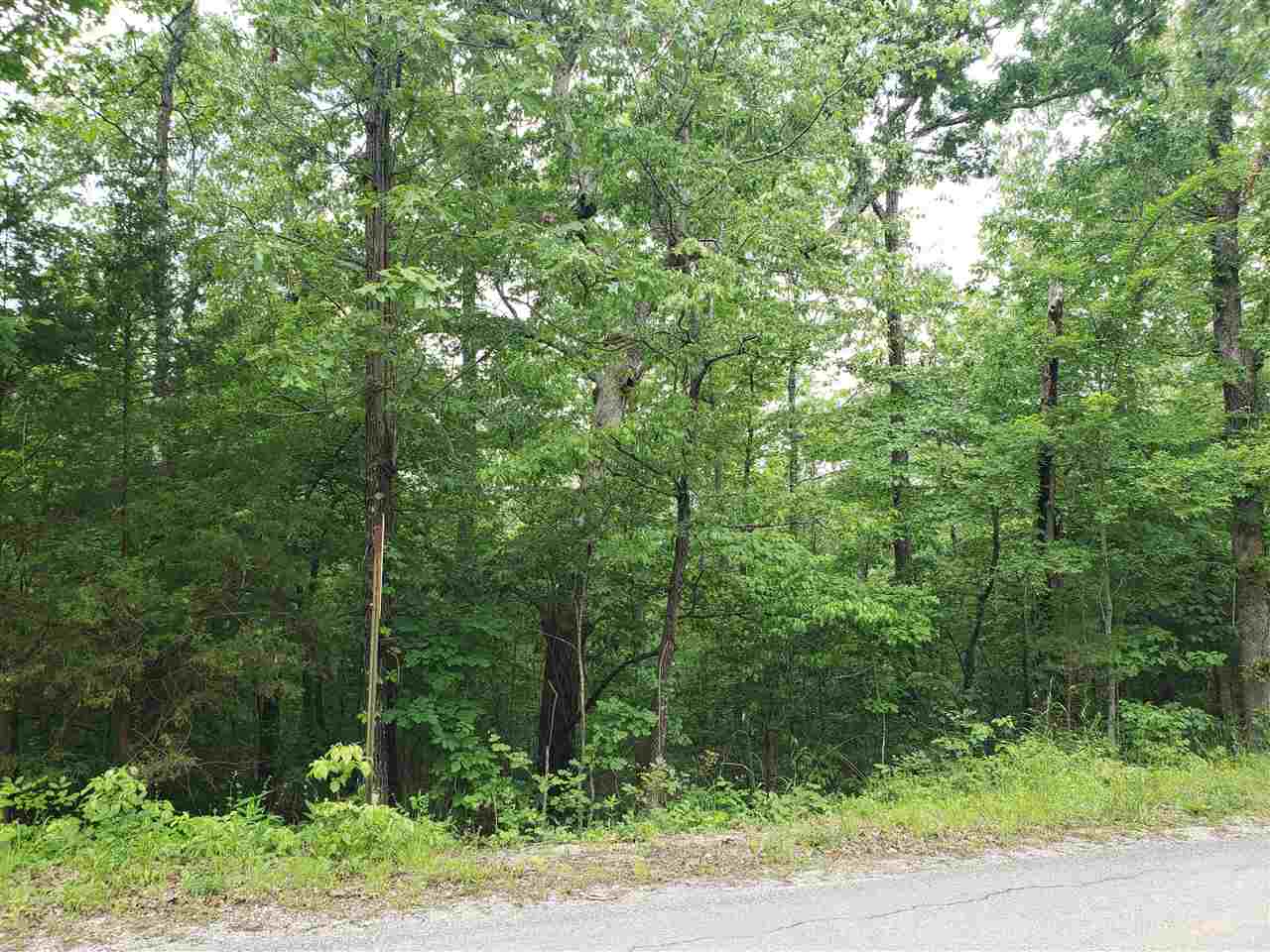 L-94 B5 Ouachita Road Property Photo 14